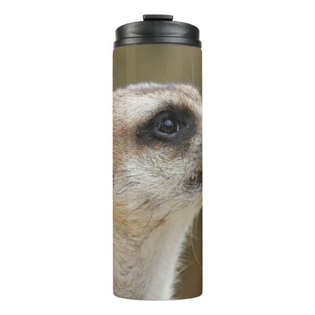 Termo Meerkat 028 (Anverso)