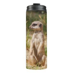 Termo Meerkat 038