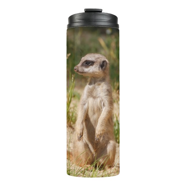 Termo Meerkat 038 (Anverso)