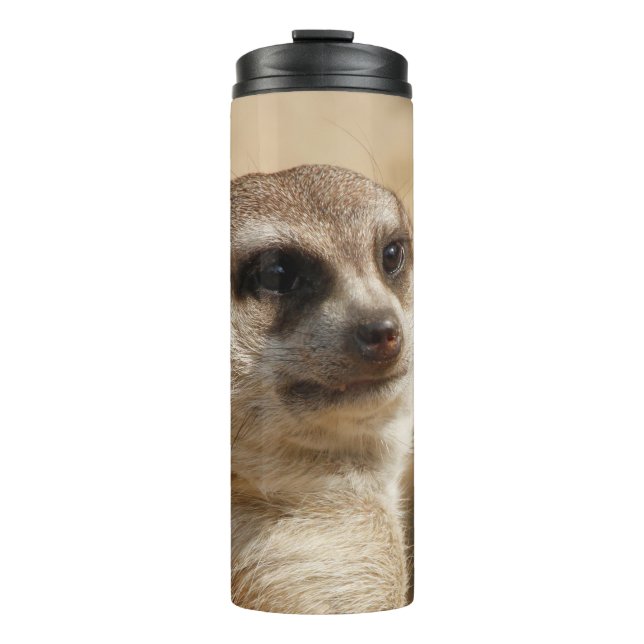 Termo Meerkat 041 (Anverso)