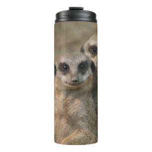 Termo Meerkat 067