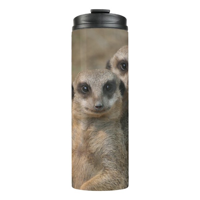 Termo Meerkat 067 (Anverso)