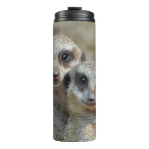 Termo Meerkat 085