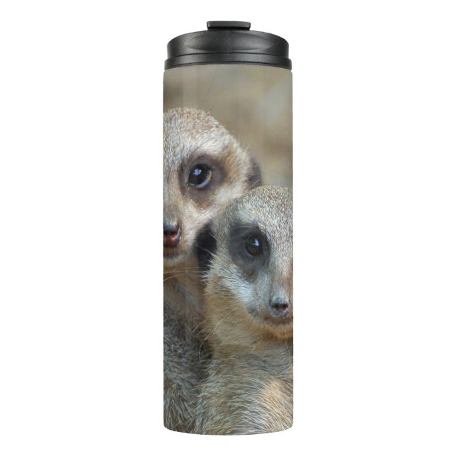 Termo Meerkat 085 (Anverso)