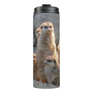 Termo Meerkat 110