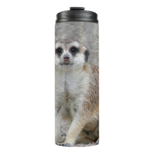 Termo Meerkat 134