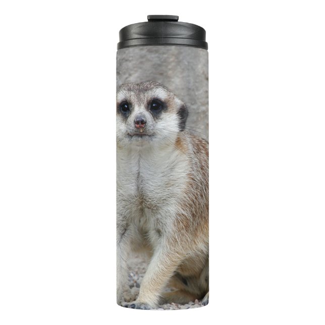 Termo Meerkat 134 (Anverso)