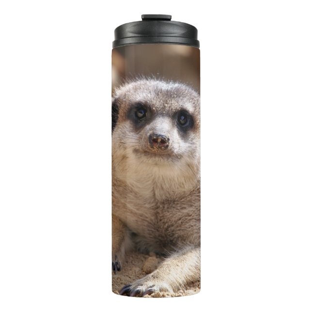 Termo Meerkat 174 (Anverso)