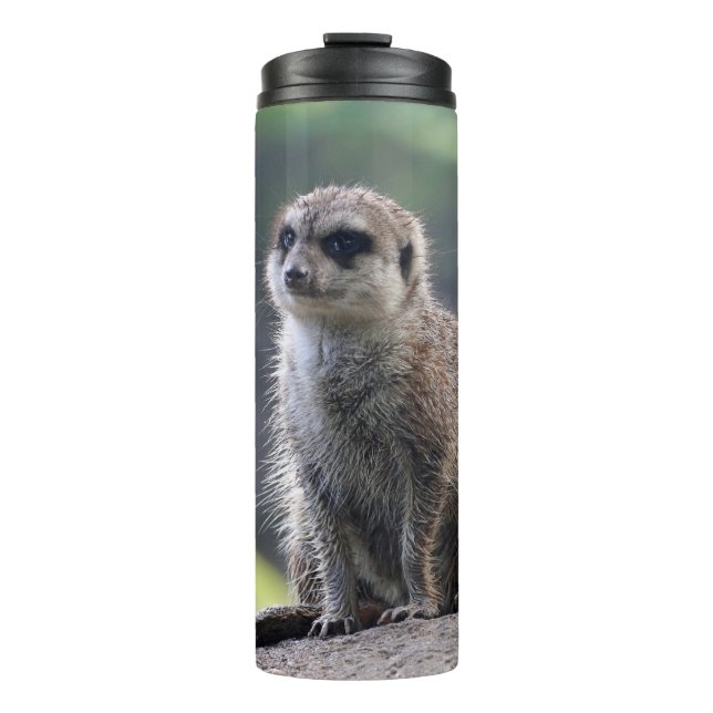 Termo Meerkat_20171101_by_JAMFoto (Anverso)