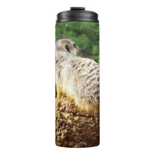 Termo Meerkat Con Vistas Altas,