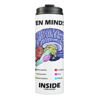 Termo Mentalidad abierta dentro del humor cerebral anató