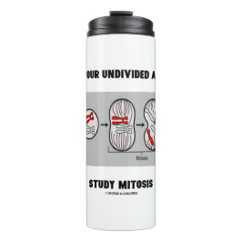 Termo Métete La Mitosis Del Estudio De Atención Sin Divi