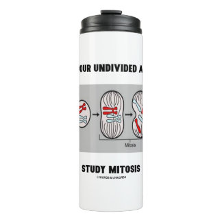 Termo Métete La Mitosis Del Estudio De Atención Sin Divi