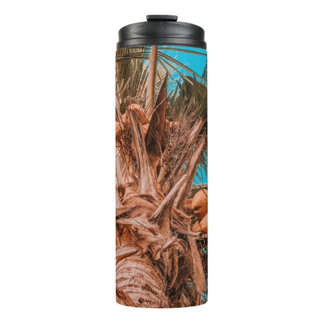 TERMO MIRANDO EL ÁRBOL DE COCOTERO (Anverso)