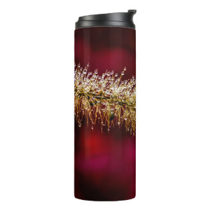 Termo Morning Dew