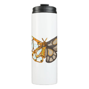 Termo Moth Butterfly Dragonfly Insect