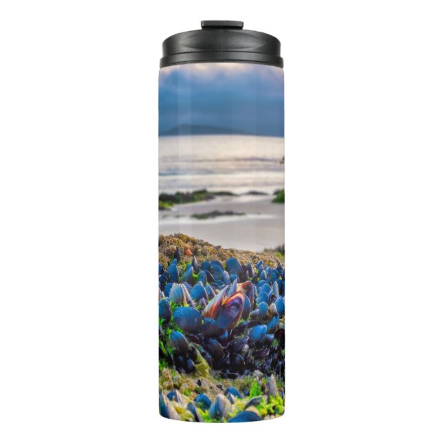 Termo Mussels (Anverso)