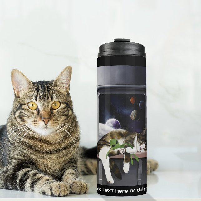 Termo Nave Espacial Gato Tabby Verde Alien Muñeco de Pel (Subido por el creador)