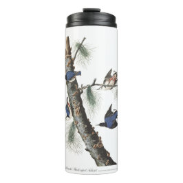 Termo Nuthatch blanco de Audobon (gorro negro)