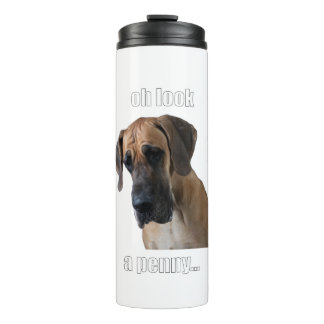 Termo Oh mira, un centavo...