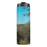 Olivos en el paisaje de Apulia en otoño. ag