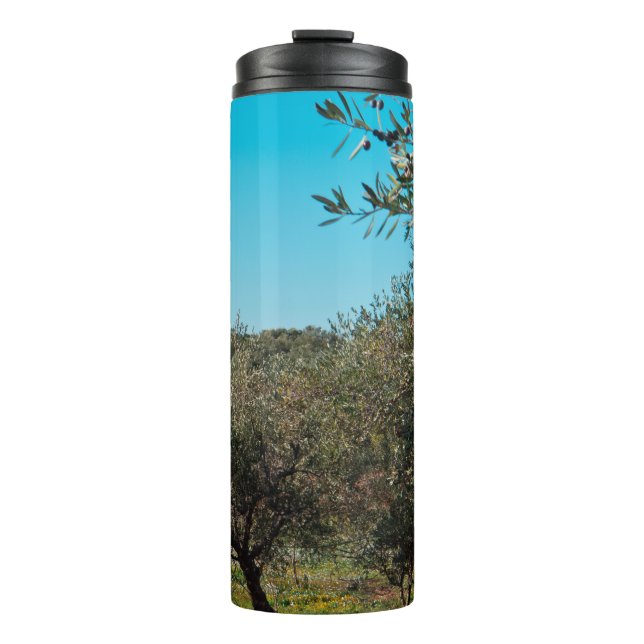 Termo Olivos en el paisaje de Apulia en otoño. ag (Anverso)