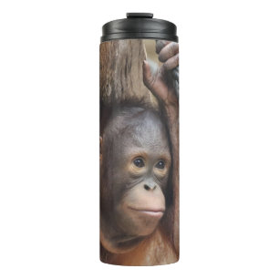 Termo OrangUtan 002