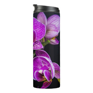 Termo Orquídea púrpura