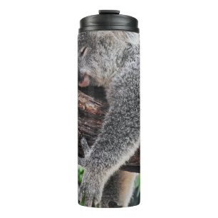 TERMO OSO KOALA DURMIENDO EN ÁRBOL