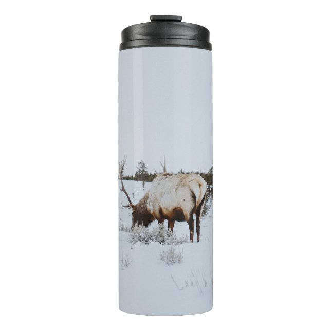 TERMO PAISAJE DE INVIERNO CON CERVEZA (Anverso)