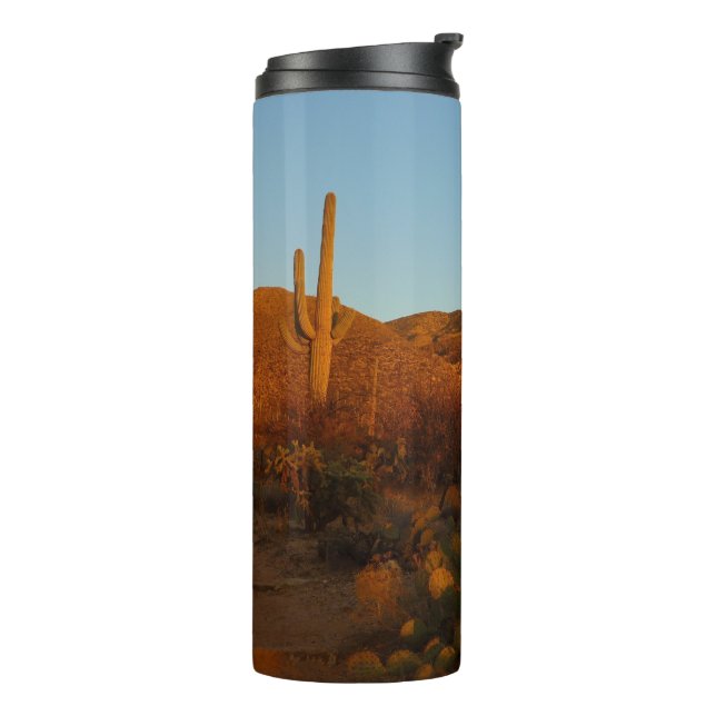 Termo Paisaje del desierto de Saguaro Sunset I Arizona (Rotado hacia la izquierda)