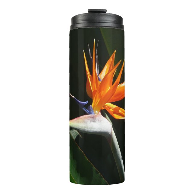 Termo Pájaro del Naranja del paraíso Flor tropical (Anverso)