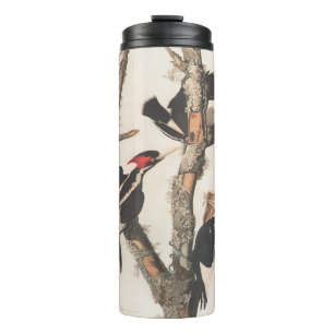 Termo Panceta leonera audubon