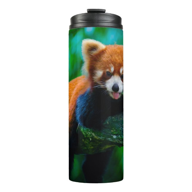 Termo Panda (Anverso)
