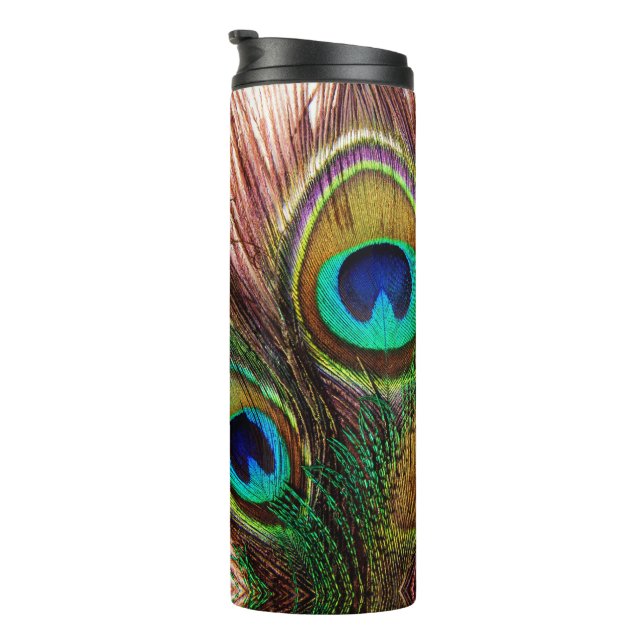 Termo Paquetes de pavo real 4 Tumblores térmicos (Rotado hacia la derecha)