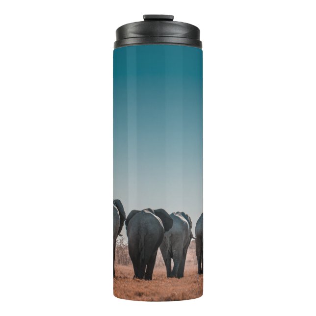 TERMO PARQUE NACIONAL DE ETOSHA (Anverso)