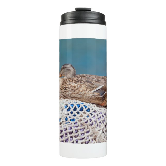 Termo Pato en desuso (Anverso)