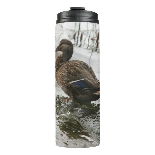 Termo Pato gris en el lago oscuro (Anverso)
