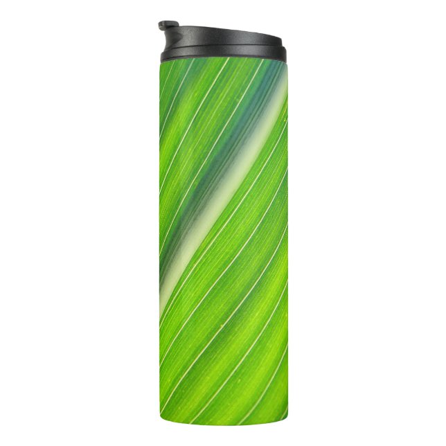 Termo Patrón natural verde (Rotado hacia la derecha)