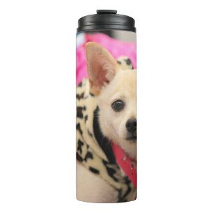 Termo Pequeña ayudante