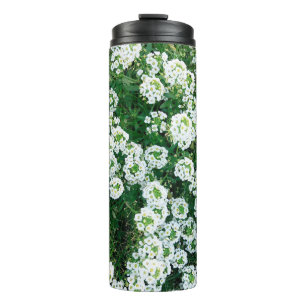 Termo Pequeñas flores blancas en el césped durante el dí