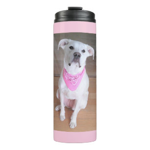 Termo Perro blanco, escueto y vestido con bufanda rosa