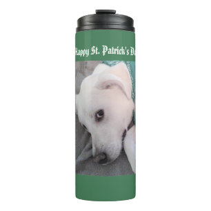 Termo Perro de cachorro blanco lindo con terapia de bufa