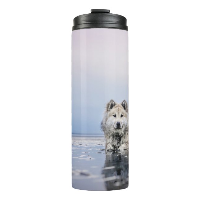 TERMO PERRO EN CUERPO TRANQUILO DE AGUA (Anverso)