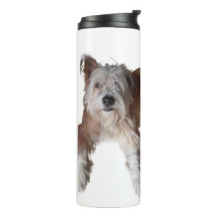 Termo Perro, Foto Y Personalizable De Nombre, Tumbler Te