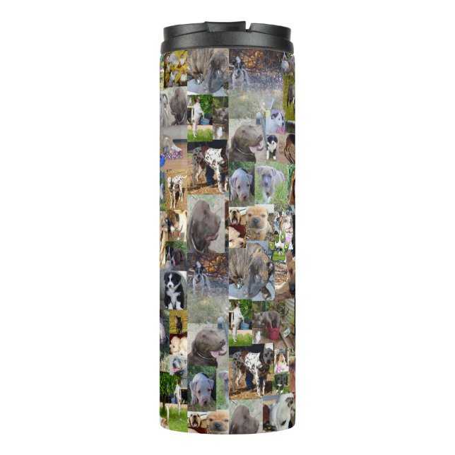 Termo Perro Raza Collage de fotos, (Reverso)