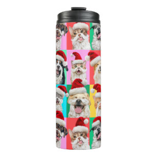 Termo Perros y Gatos con Barba de Santa