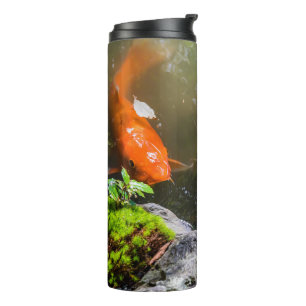 Termo Pescado de Koi en un estanque