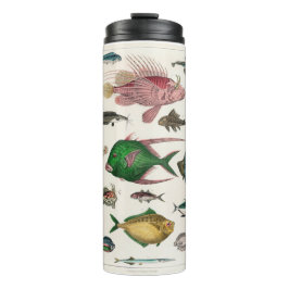 Termo pescado, océano, lindo, mar, agua, animal, pesca