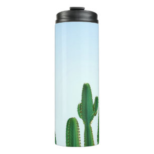 Termo Planta de cactus verdes en fondo blanco